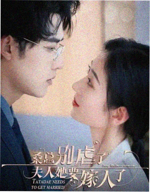三九电影网剧集贴纸 编辑部第七桌